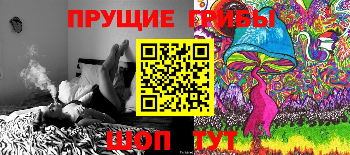 Галлюциногенные грибы MAGIC MUSHROOMS  Галлюциногенные грибы мухоморы  Каменск-Уральский  Вход с VPN 